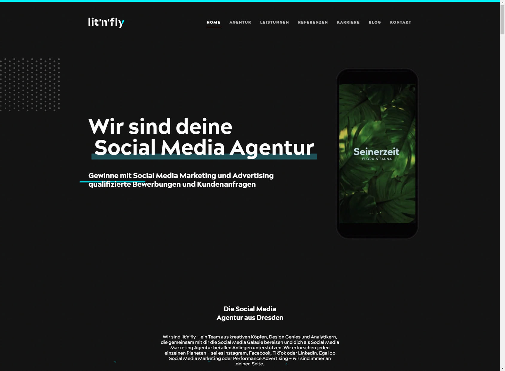 Lit'n'Fly Social Media Consulting GmbH & Co. KG