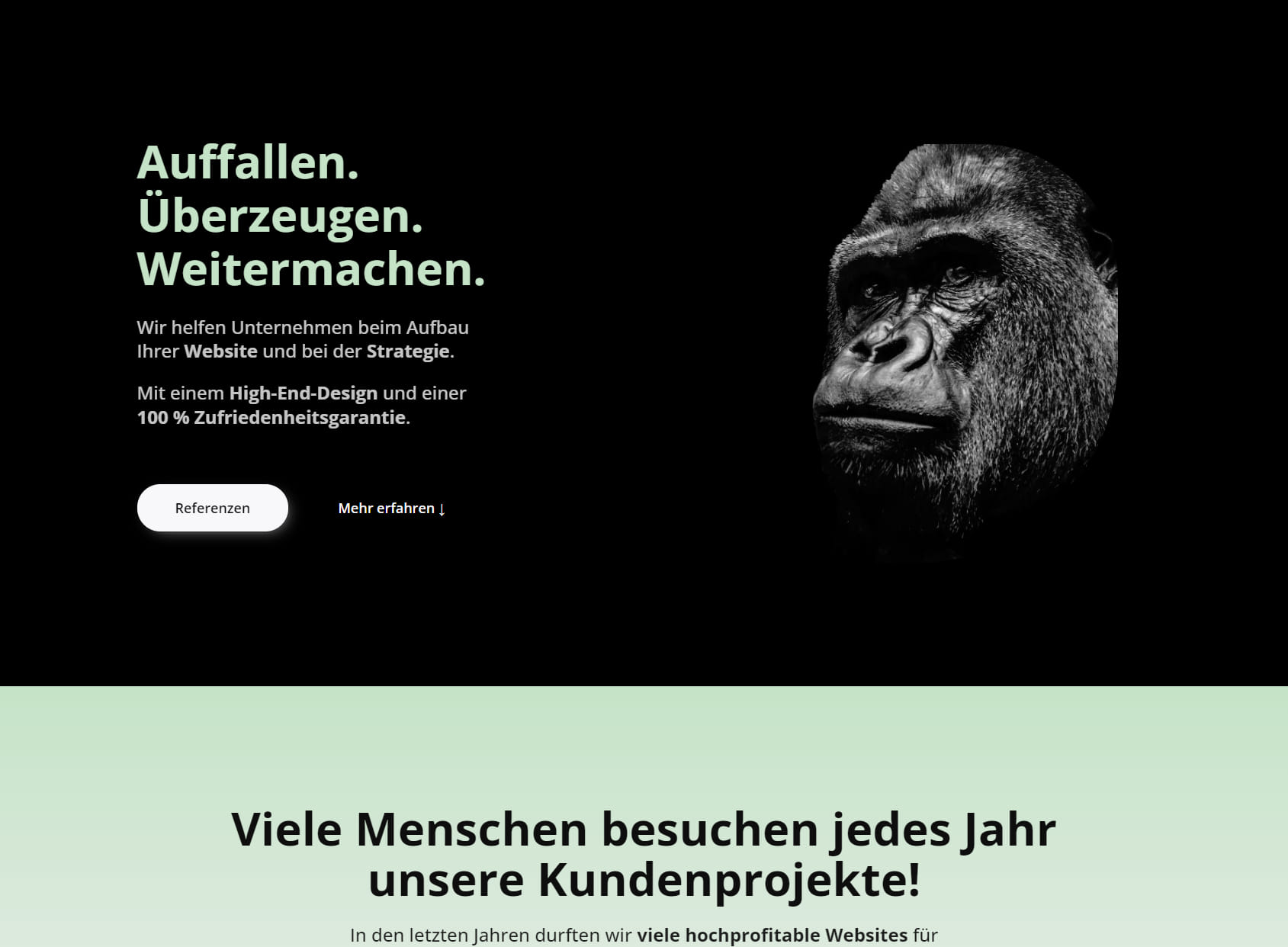 WD Solution - Webdesign Freiburg
